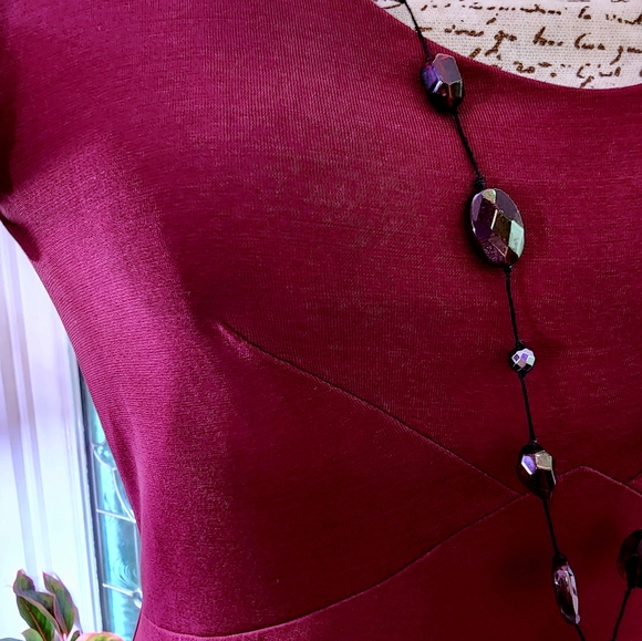 Isabella Bird Fit & Flare Claret Dress MP - Picture 9 of 9